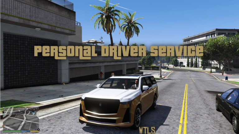 Download Personal Driver Service (NPC Autopilot)