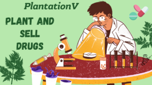 Download PlantationV – Plant and sell drugs [.NET] V1.0