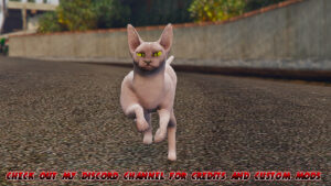 Download Sphynx Cat